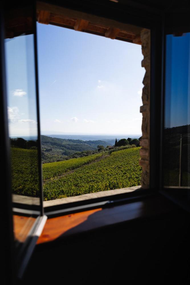Villa Privata Con Piscina A Riparbella Castellina Marittima Eksteriør bilde