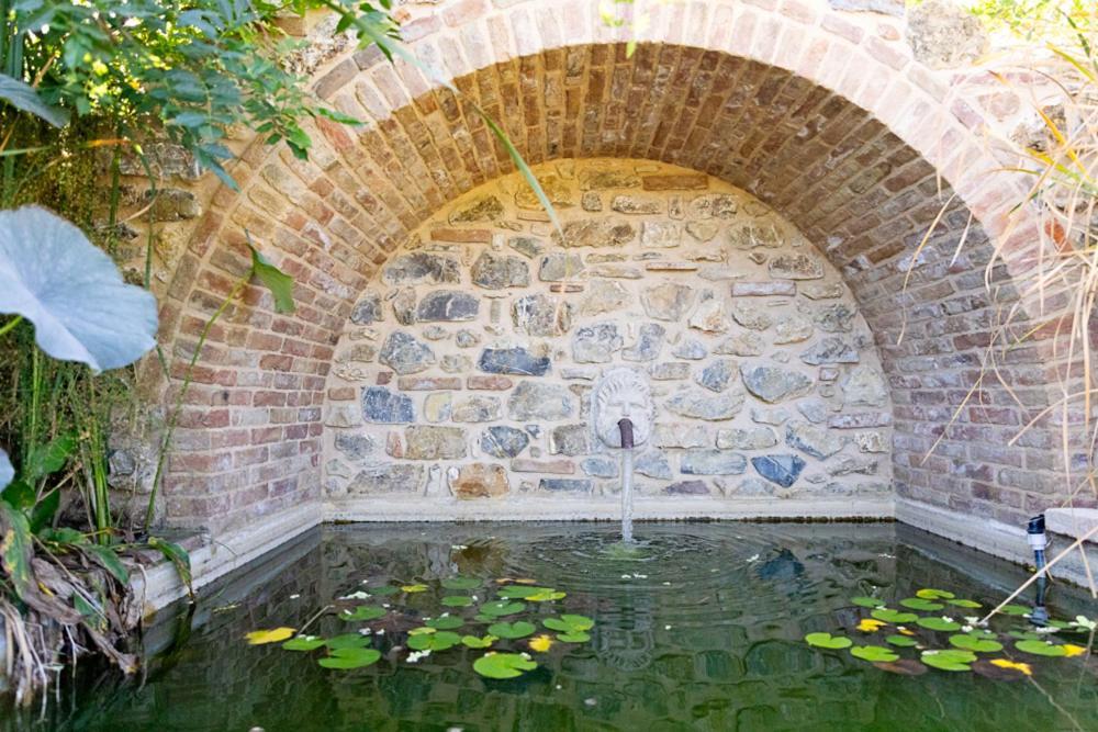 Villa Privata Con Piscina A Riparbella Castellina Marittima Eksteriør bilde